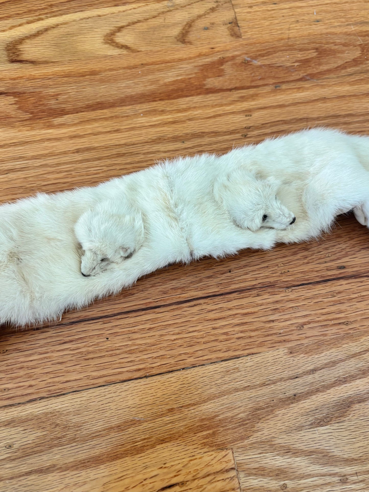 Vintage ermine taxidermy stole