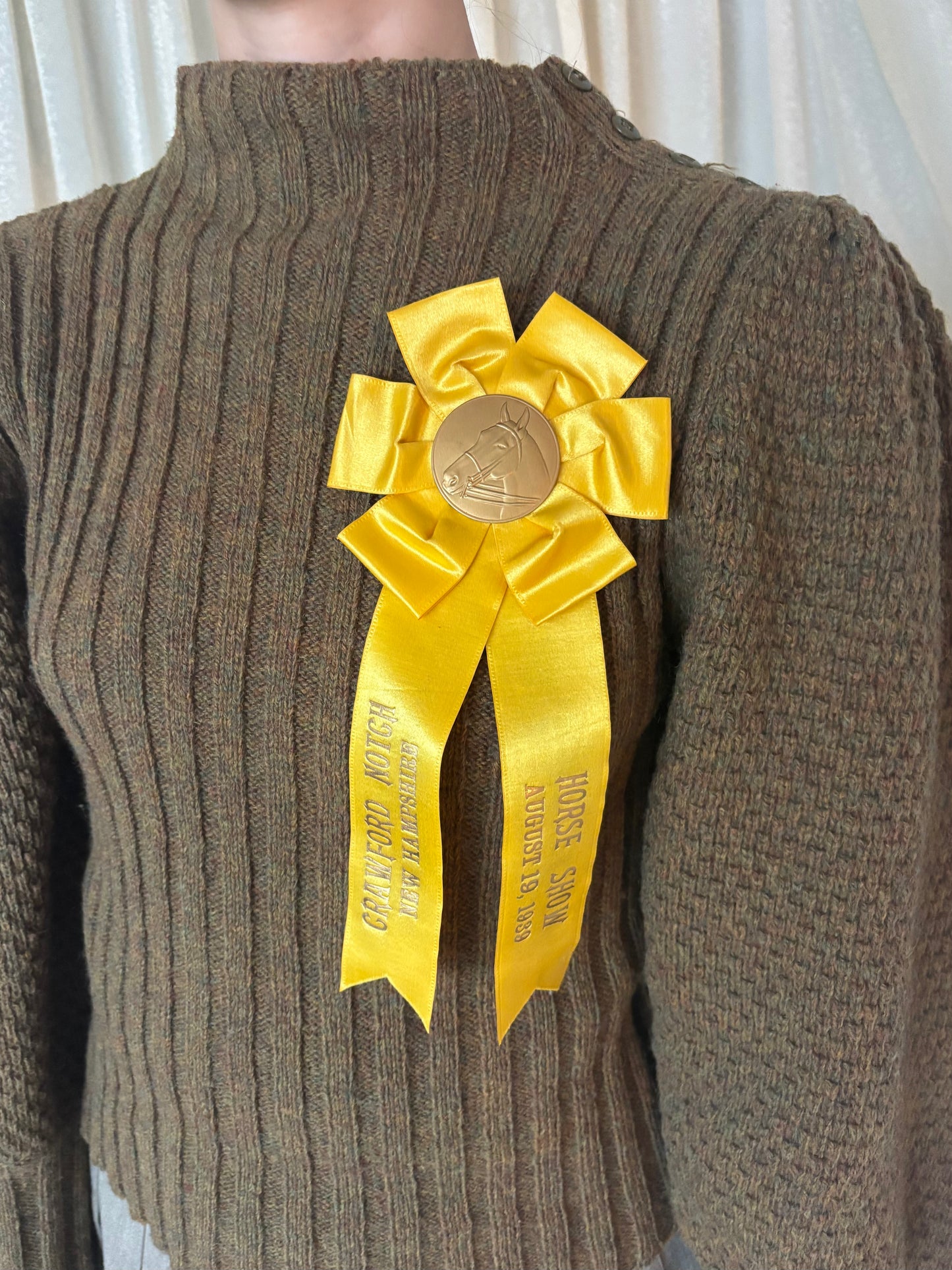 Vintage Annual Horse Show ribbons