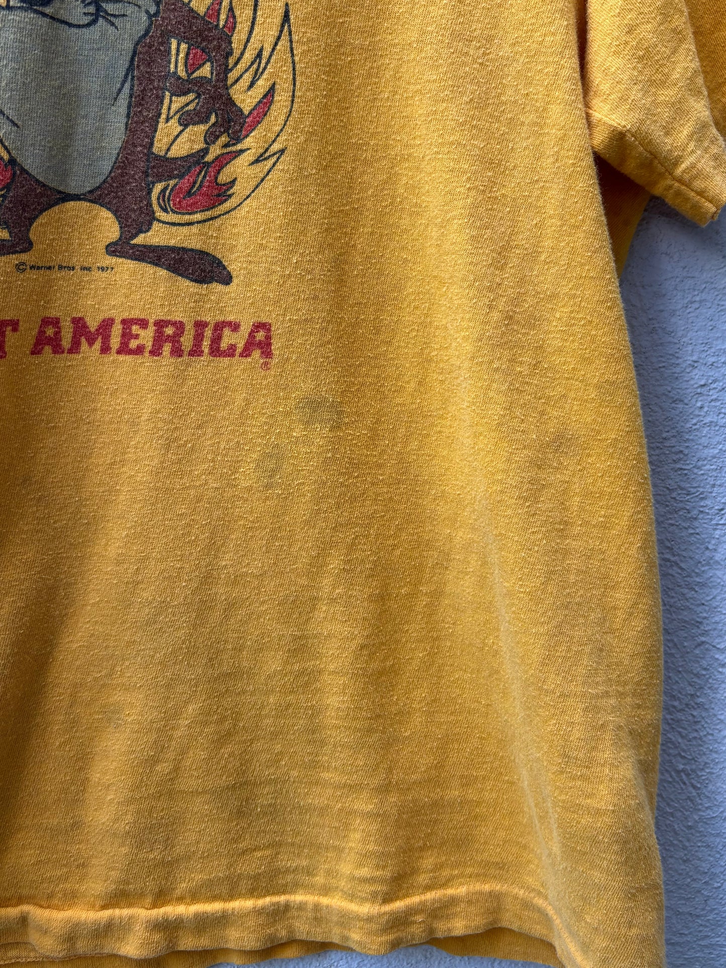 70s Tasmanian Devil Great America single-stitch tee