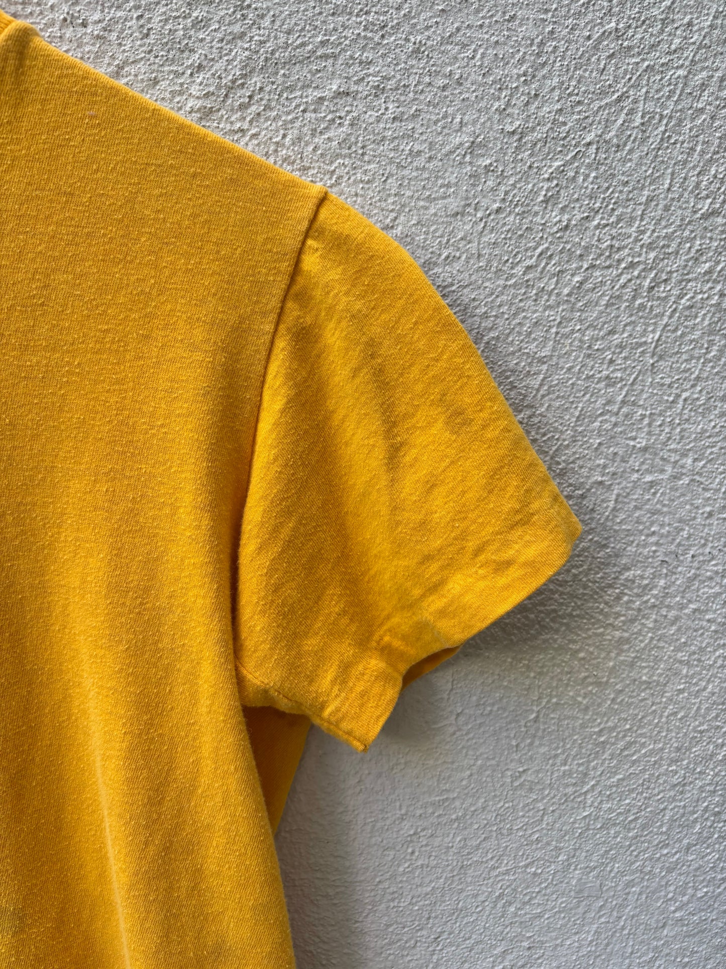 70s Tasmanian Devil Great America single-stitch tee