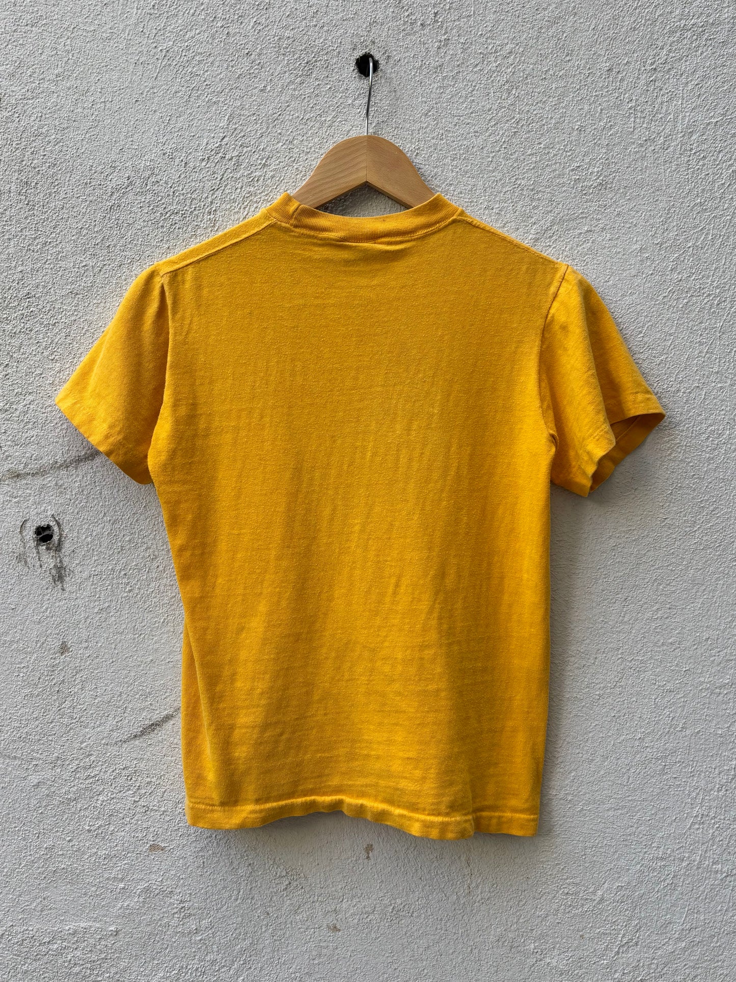 70s Tasmanian Devil Great America single-stitch tee