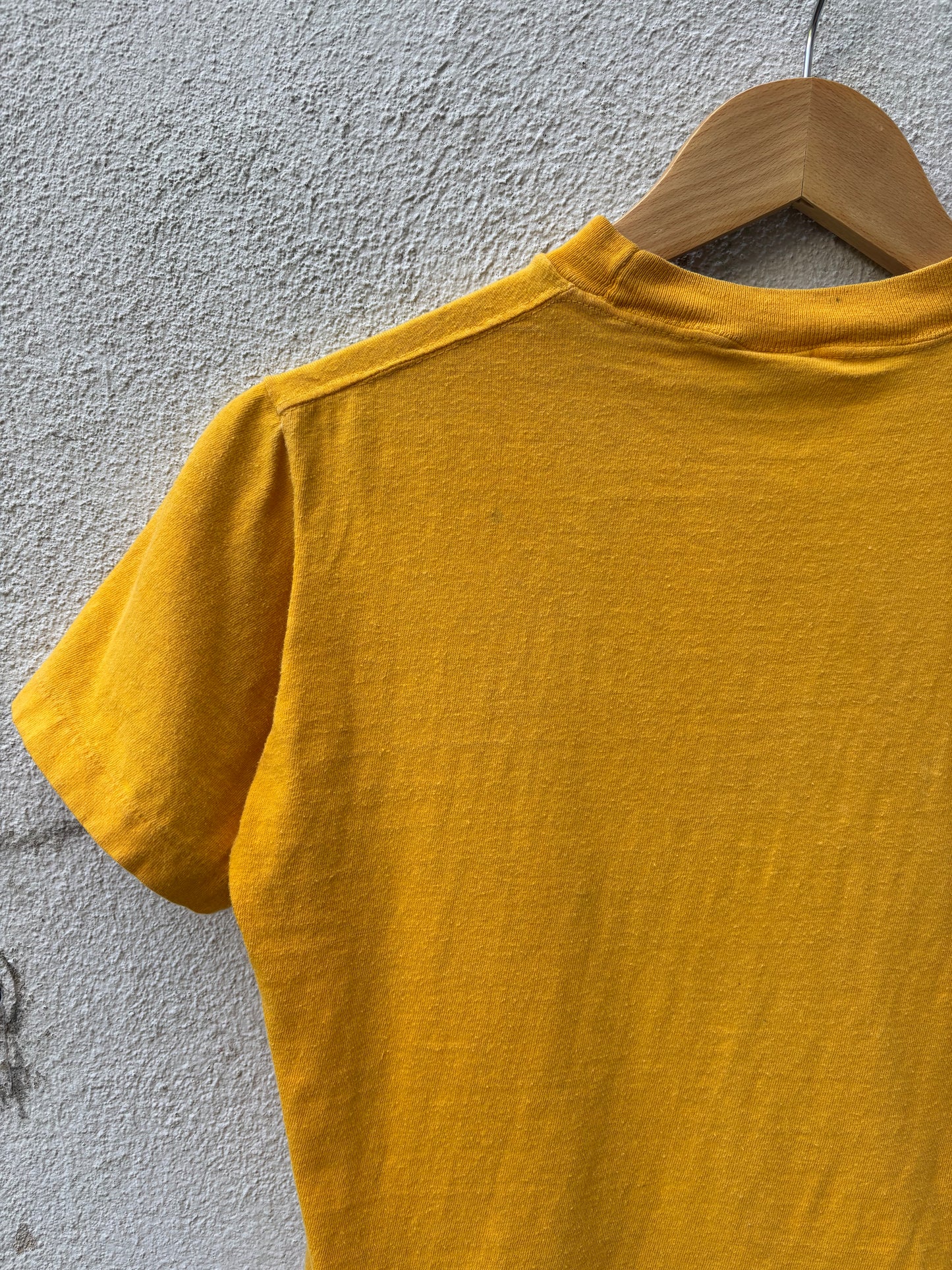 70s Tasmanian Devil Great America single-stitch tee
